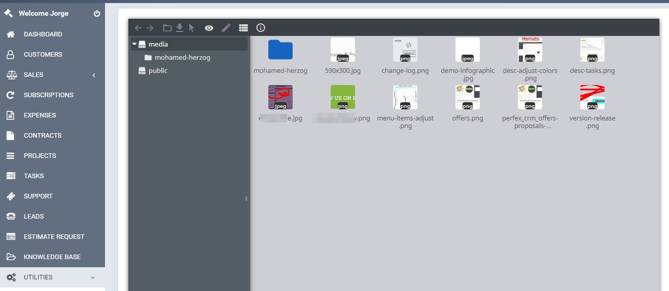 Script Financeiro Perfex CRM completo