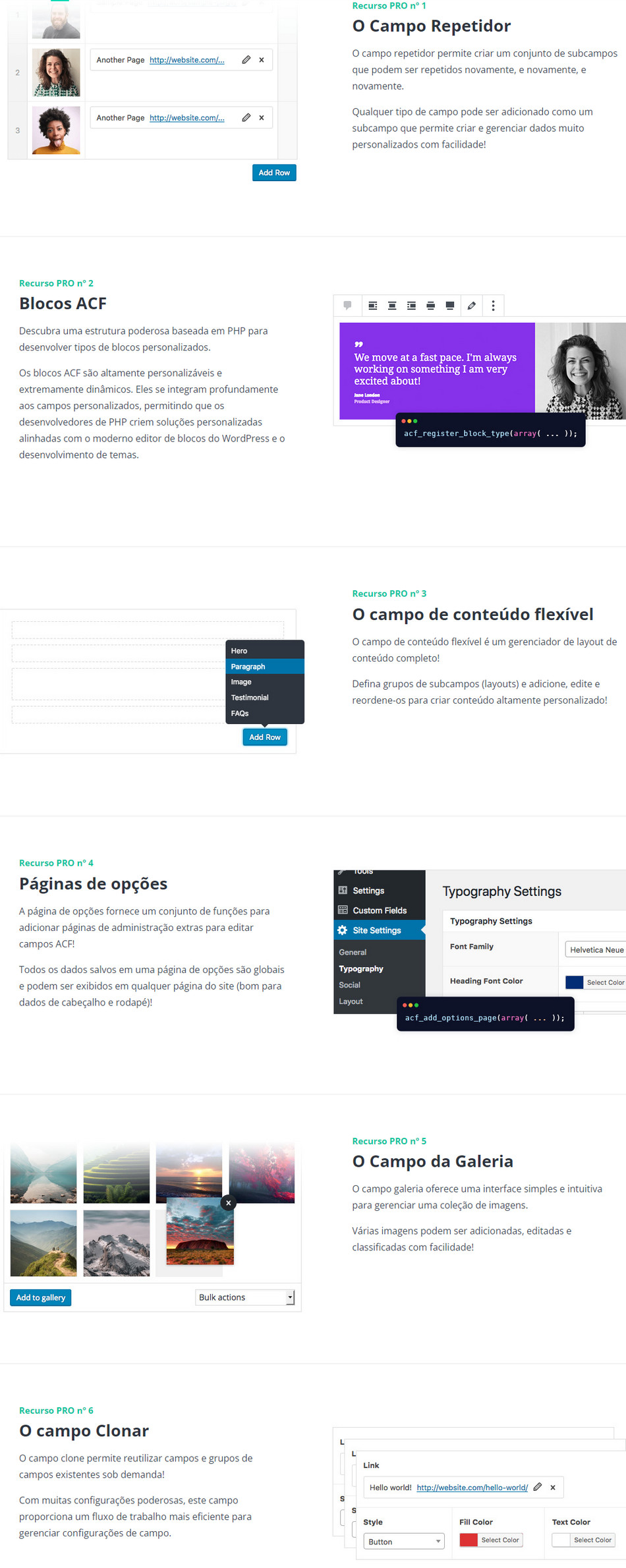 Advanced Custom Fields Pro Campos Personalizados