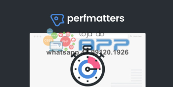 Plugin Wordpress Performance - Aumentar Velocidade Wordpress e Woocommerce